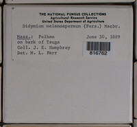 Image Associated With the Occurence